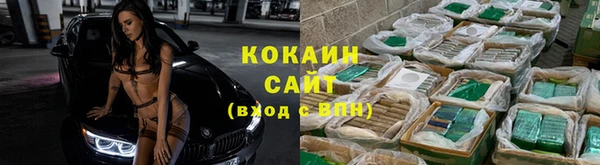 spice Алзамай