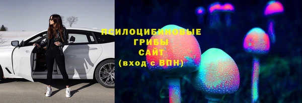дмт Алексеевка