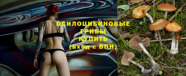дмт Алексеевка