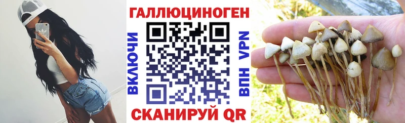Псилоцибиновые грибы Cubensis  наркотики  Ливны 